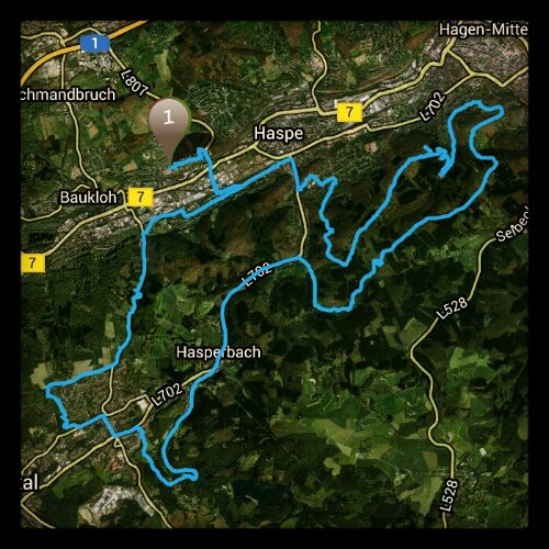 IMG_20130729_221314.jpg image