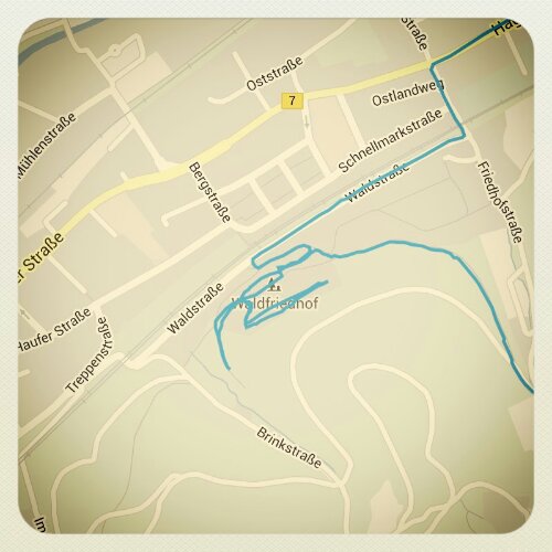 IMG_20131021_101537.jpg image